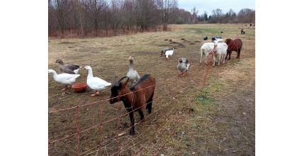 Dárkový poukaz na venkovní únikovou hru Zkáza planety země v Olomouci