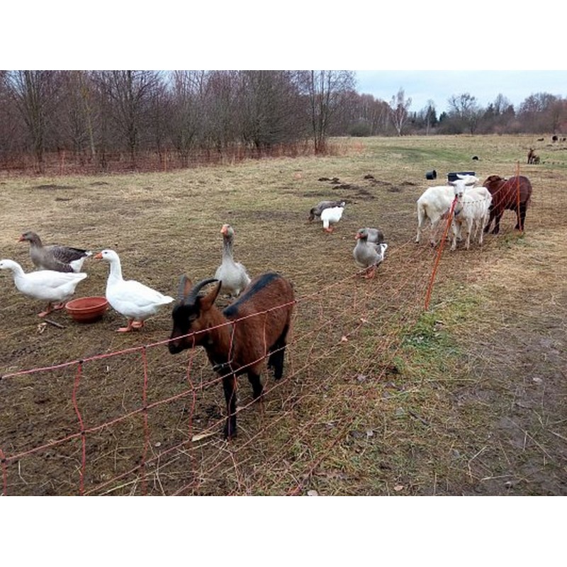 Dárkový poukaz na venkovní únikovou hru Zkáza planety země v Olomouci – náhled 3