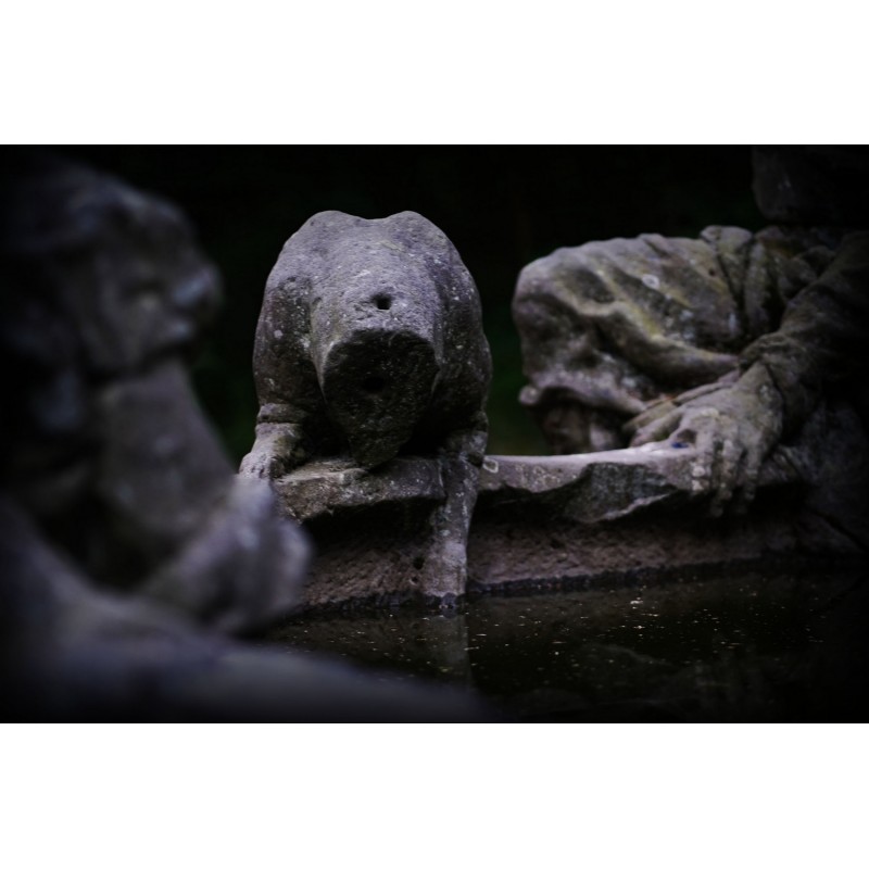 Dárkový poukaz na venkovní únikovou hru Lovci duchů – náhled 5