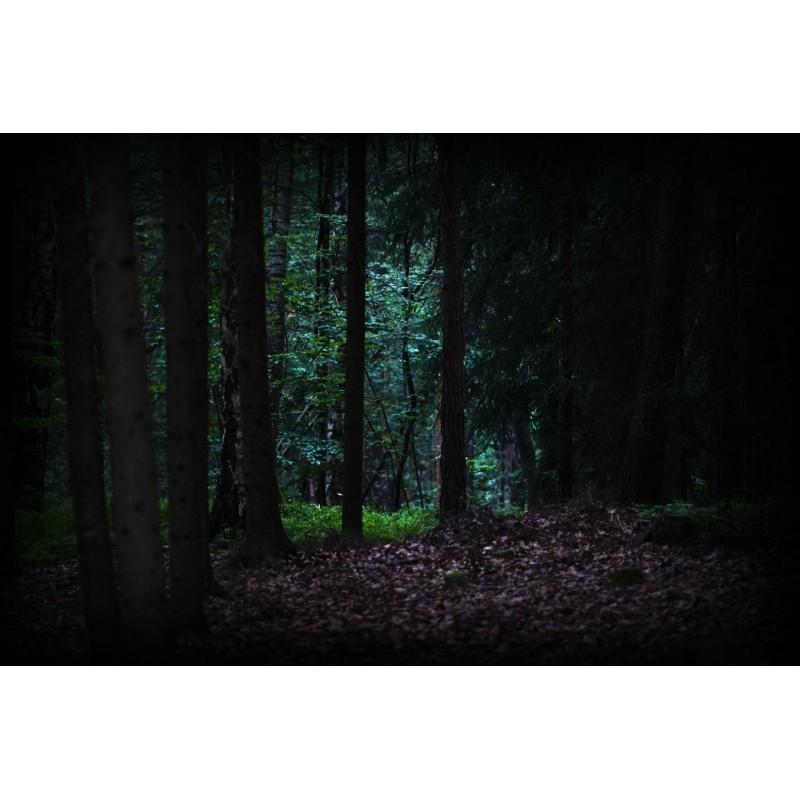 Dárkový poukaz na venkovní únikovou hru Lovci duchů – náhled 3