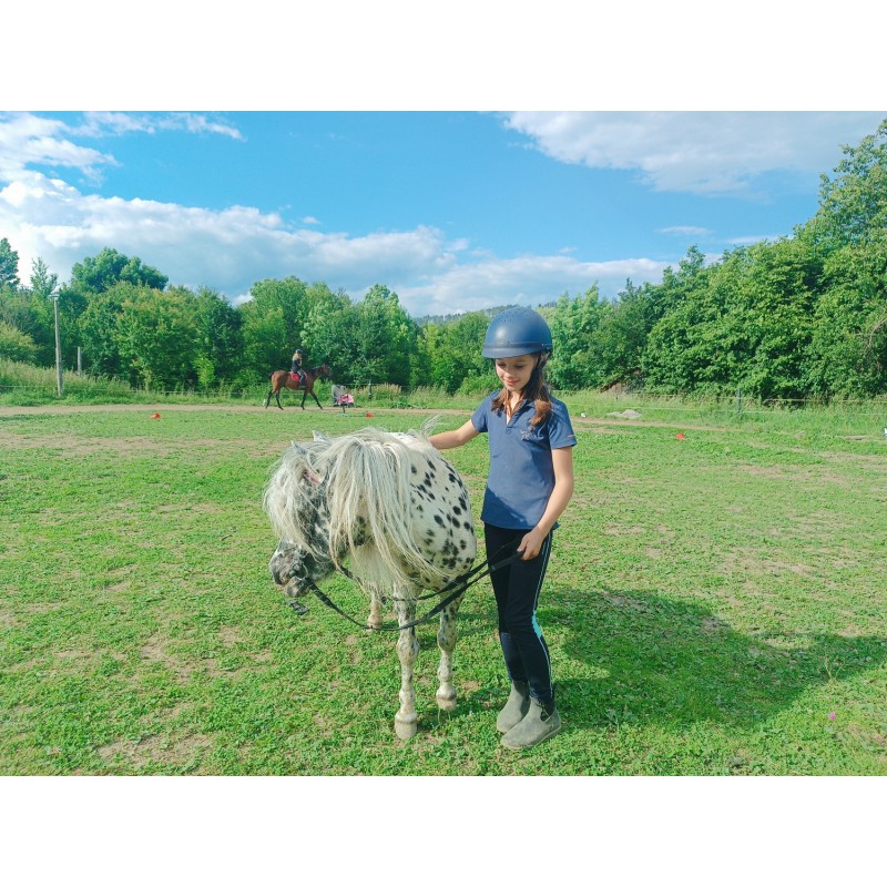 Dárkový poukaz na projížďku na koni s instruktorem – náhled 3