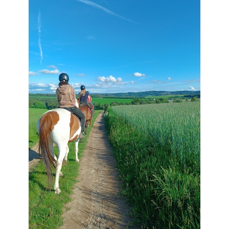 Dárkový poukaz na projížďku na koni s instruktorem – náhled 2