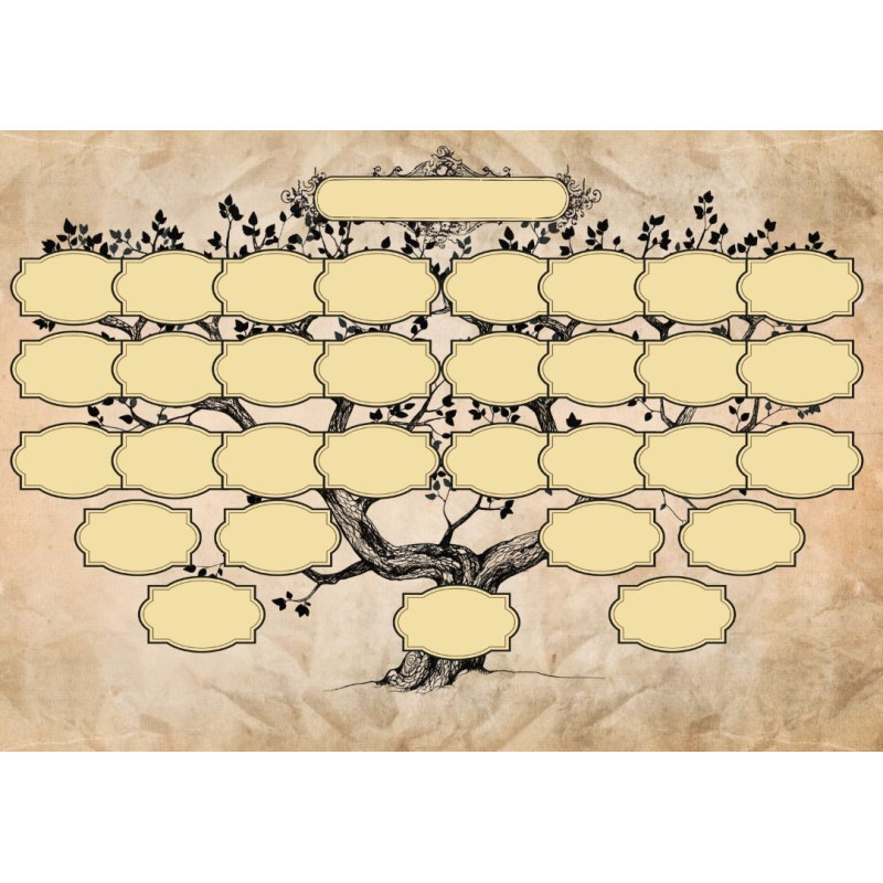 Dárkový poukaz na rodokmen do 4. až 6. generace + rodový strom – náhled 2