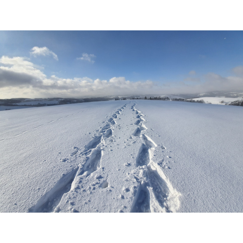 Dárkový poukaz na sněžnicový kurz v náročném terénu v hodnotě 1499 Kč – náhled 5