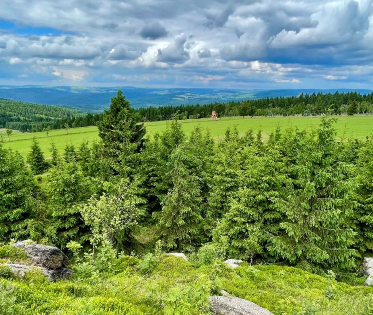 Dárkový poukaz na soukromý výlet plný dobrodružství s Offroadsafari.cz – ukázka 6 – Darujpoukaz.cz