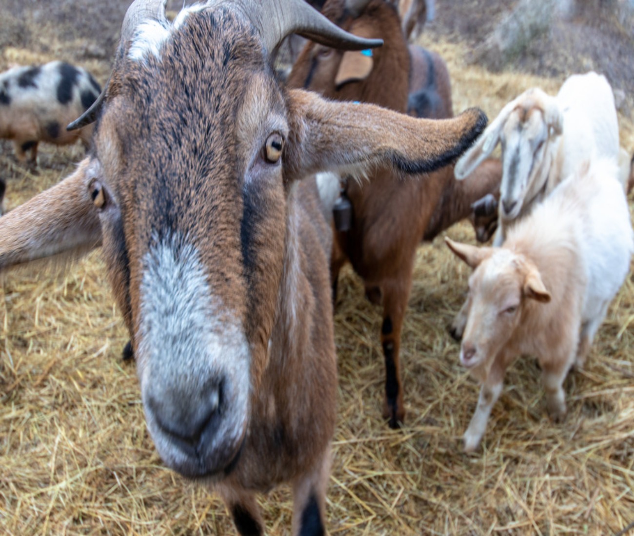 Dárkový poukaz na soukromý výlet plný dobrodružství s Offroadsafari.cz – ukázka 48 – Darujpoukaz.cz