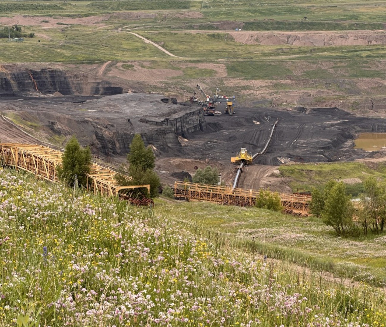 Dárkový poukaz na soukromý výlet plný dobrodružství s Offroadsafari.cz – ukázka 31 – Darujpoukaz.cz