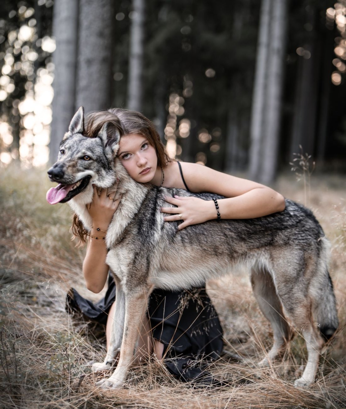 Dárkový poukaz na zážitkové focení s vlky – ukázka 2 – Darujpoukaz.cz